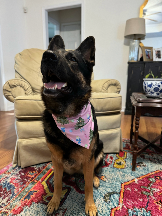 watercolor nutcracker pink grandmillennial dog Christmas bandana